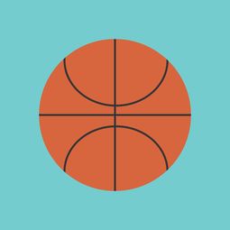 开云电竞app-中国篮球联赛市场竞争环境分析与预测，篮球市场现状