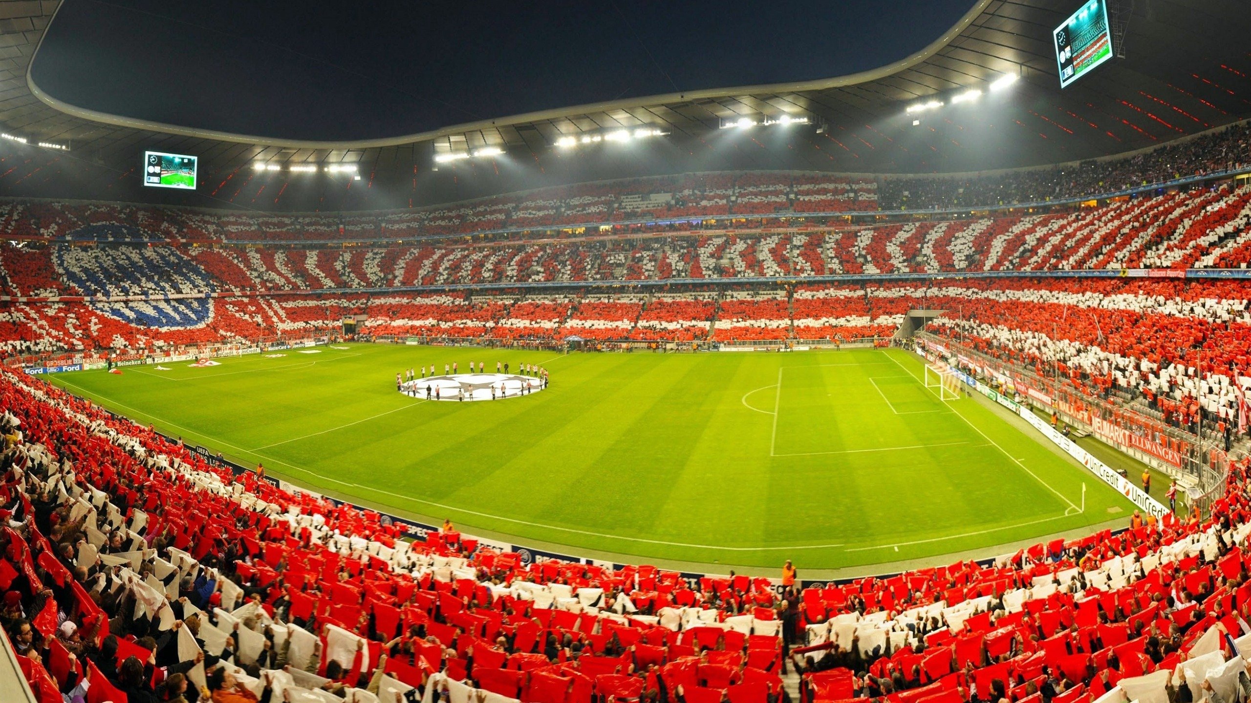 全民健身日活动组织成效与社会影响力分析，全民健身活动形式